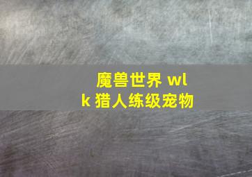 魔兽世界 wlk 猎人练级宠物